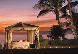 Marzua: Crear un jardín tropical en casa