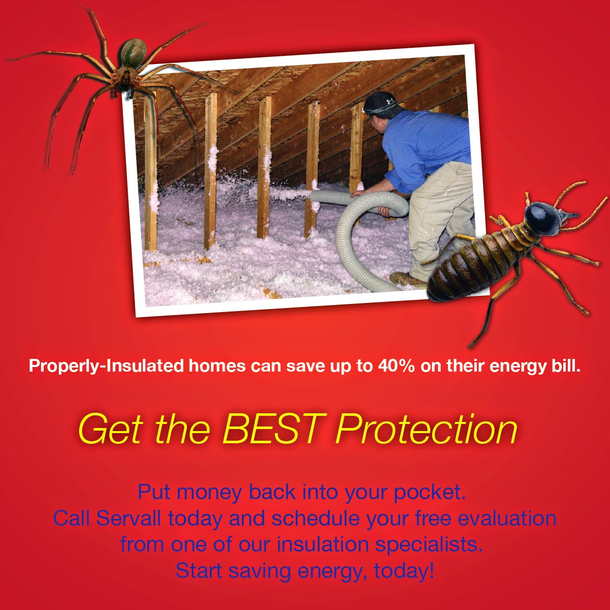 Servall Pest Control October 2014