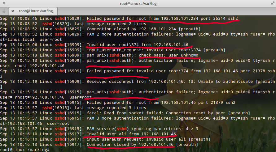 Fatal password authentication failed for user. Логи линукс. Логи ошибок линукс. SSH Linux. Root Linux.