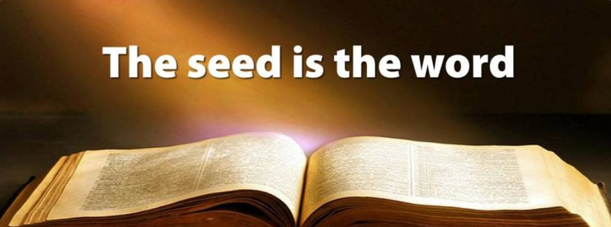 Priestdude Word Seeds Priestdude Word Seeds