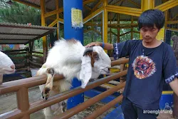 taman legenda keong emas tmii jakarta