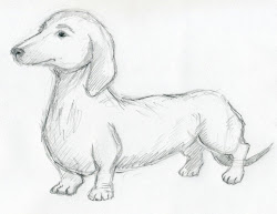 dog drawing 3d draw drawings easy animals animal sketch sketches pencil simple sketching loading weenie dachshunds sausage