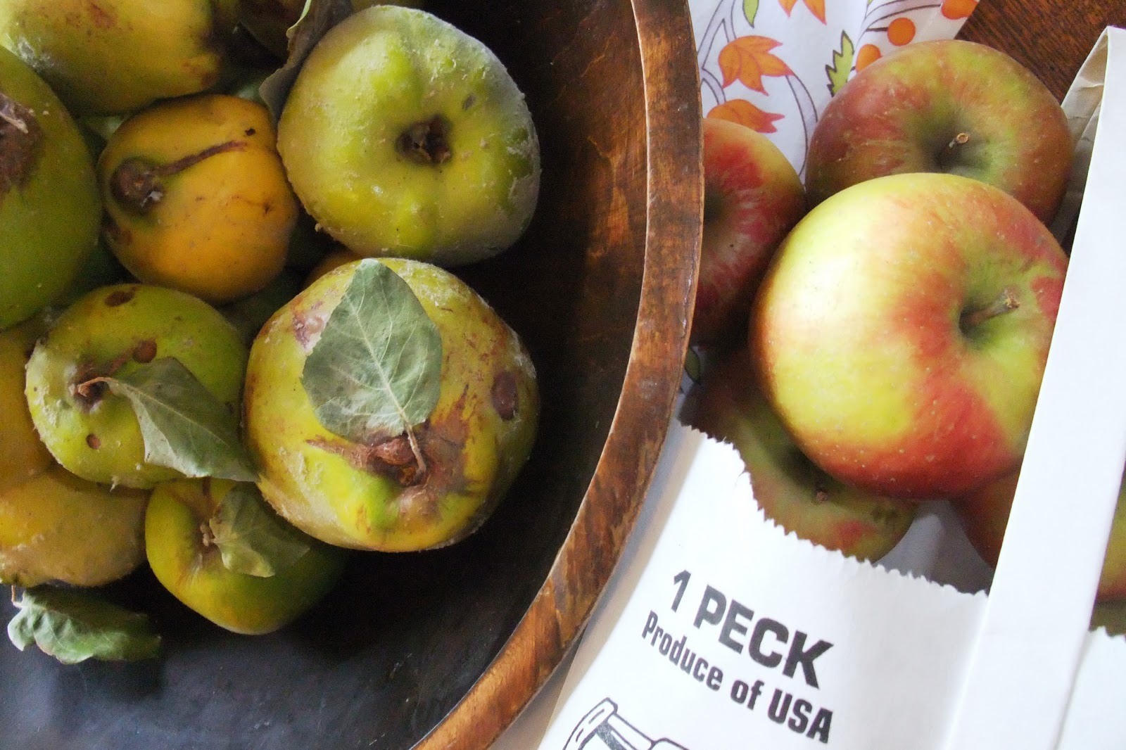 Preserved and Pickled PERSIMMON MARMALADE & QUINCEAPPLE SAUCE