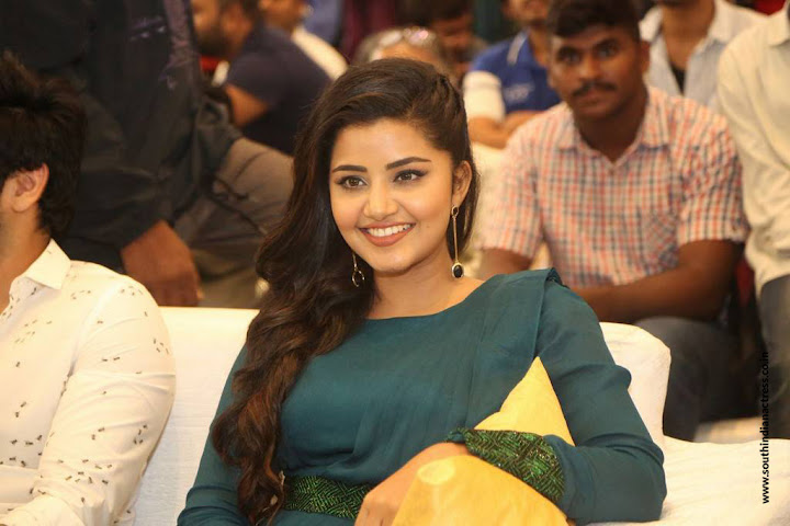 Anupama Parameswaran at Radio City Cine Awards Inaguration