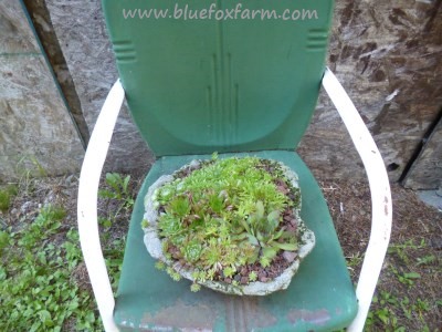 Garden Chair Ideas