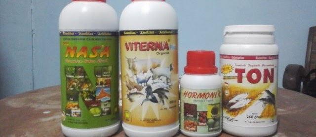 Vitamin Ikan Lele untuk Mempercepat Pertumbuhan