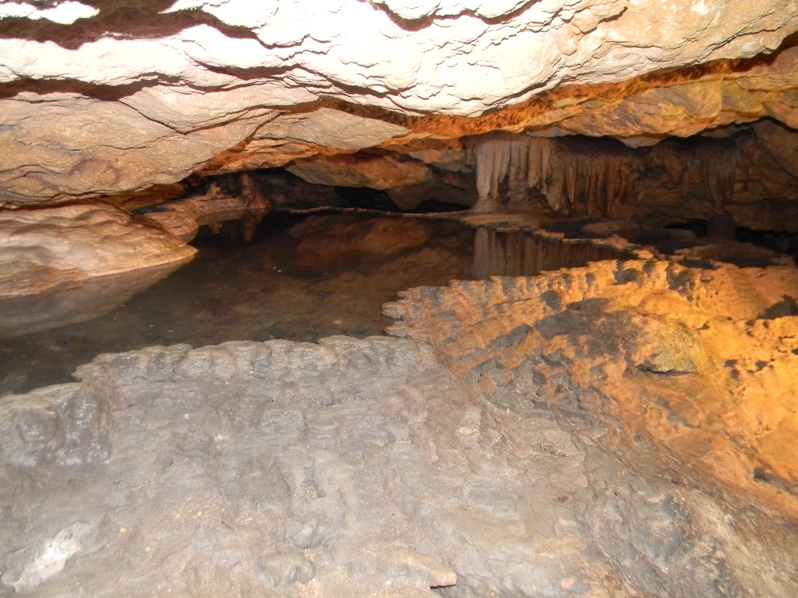 The "Unknown" Florida Florida Caverns State Park Marianna, FL