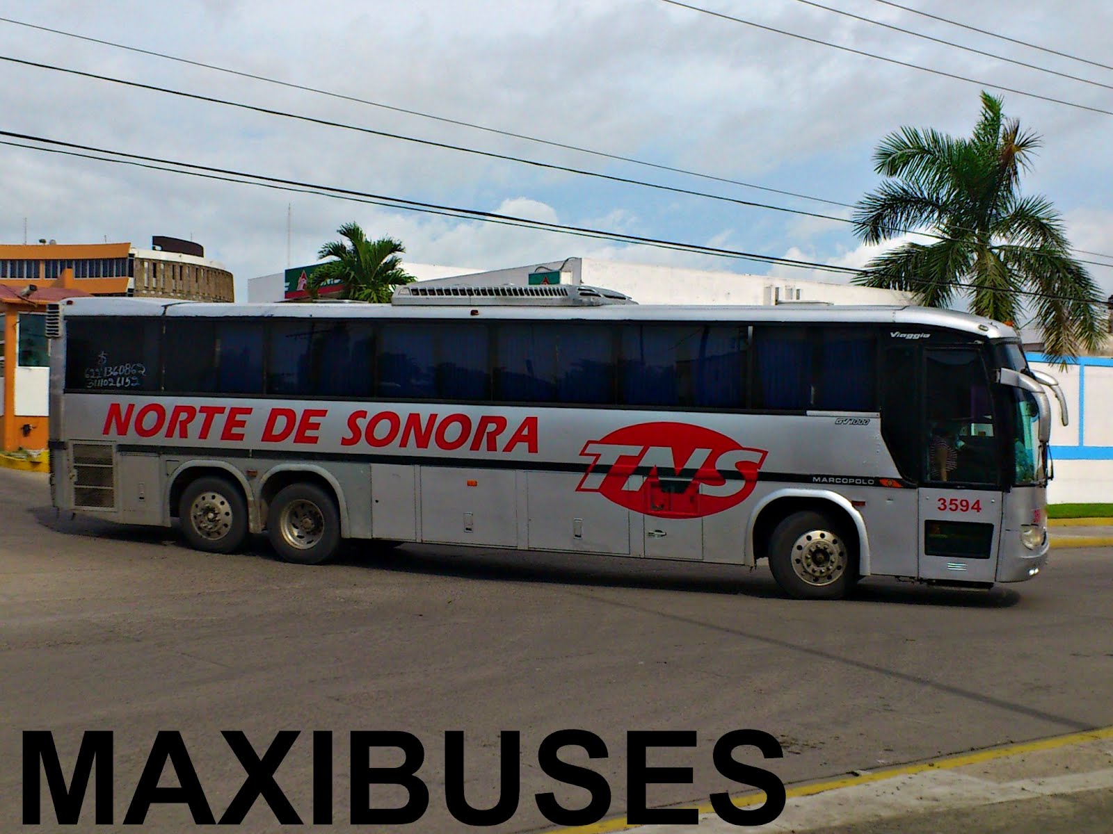 MAXIBUSES AUTOBUSES NORTE DE SONORA MAXIBUSES AUTOBUSES NORTE DE SONORA