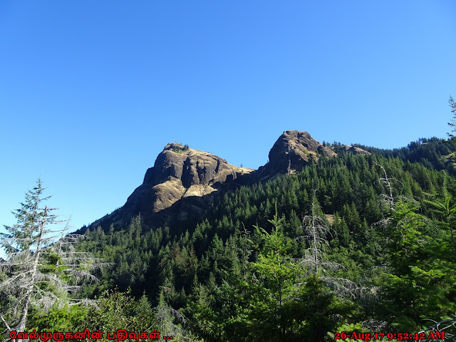 Hike to Saddle Mountain