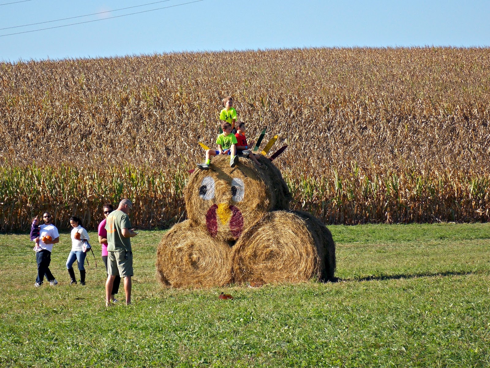 Around Roanoke, VA (A Daily Photo Blog) Halloween Hay Bales
