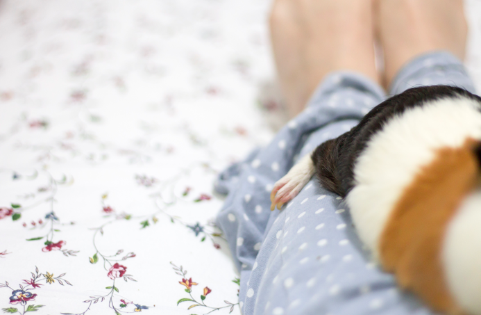 fotografia-cobaya-kevin