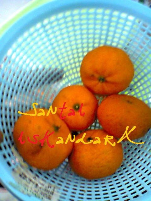 Santai-iskandarX-Makanan-Tengahari-Pilihan-iskandarX-7-iskandarx.blogspot.com
