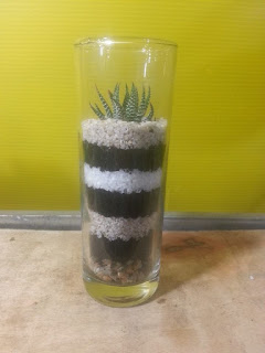 Cây cảnh để bàn