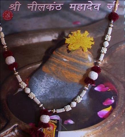 best wallpapers: Neelkanth Mahadev