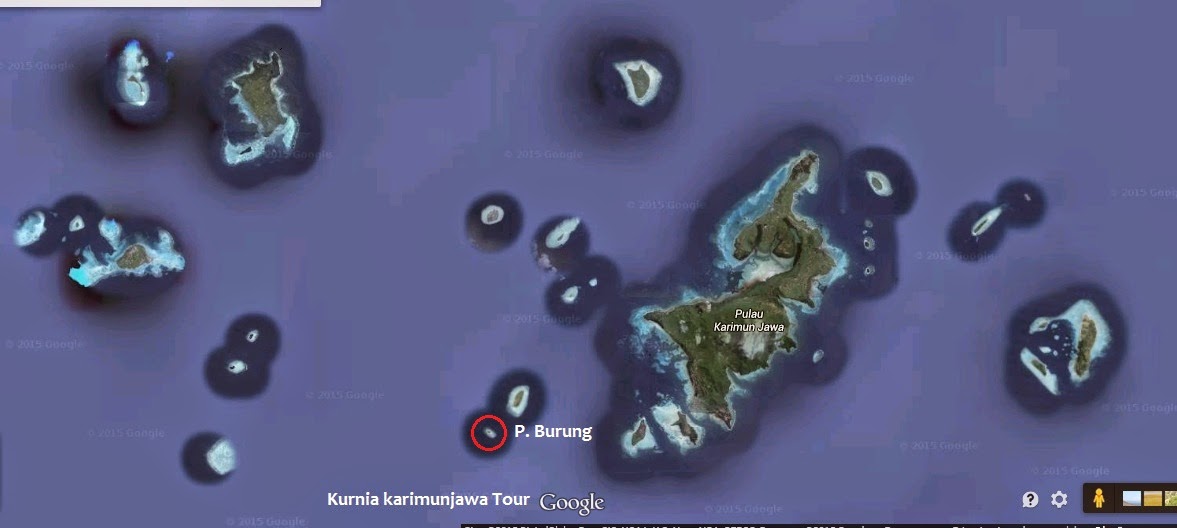 lokasi pulau burung dari karimunjawa