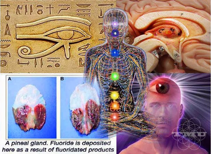 How To Decalcify And Detoxify Your Pineal Gland
