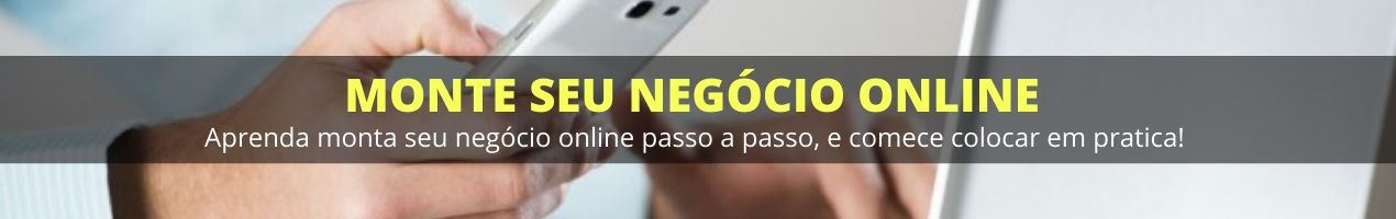 Seu Negócio Online 