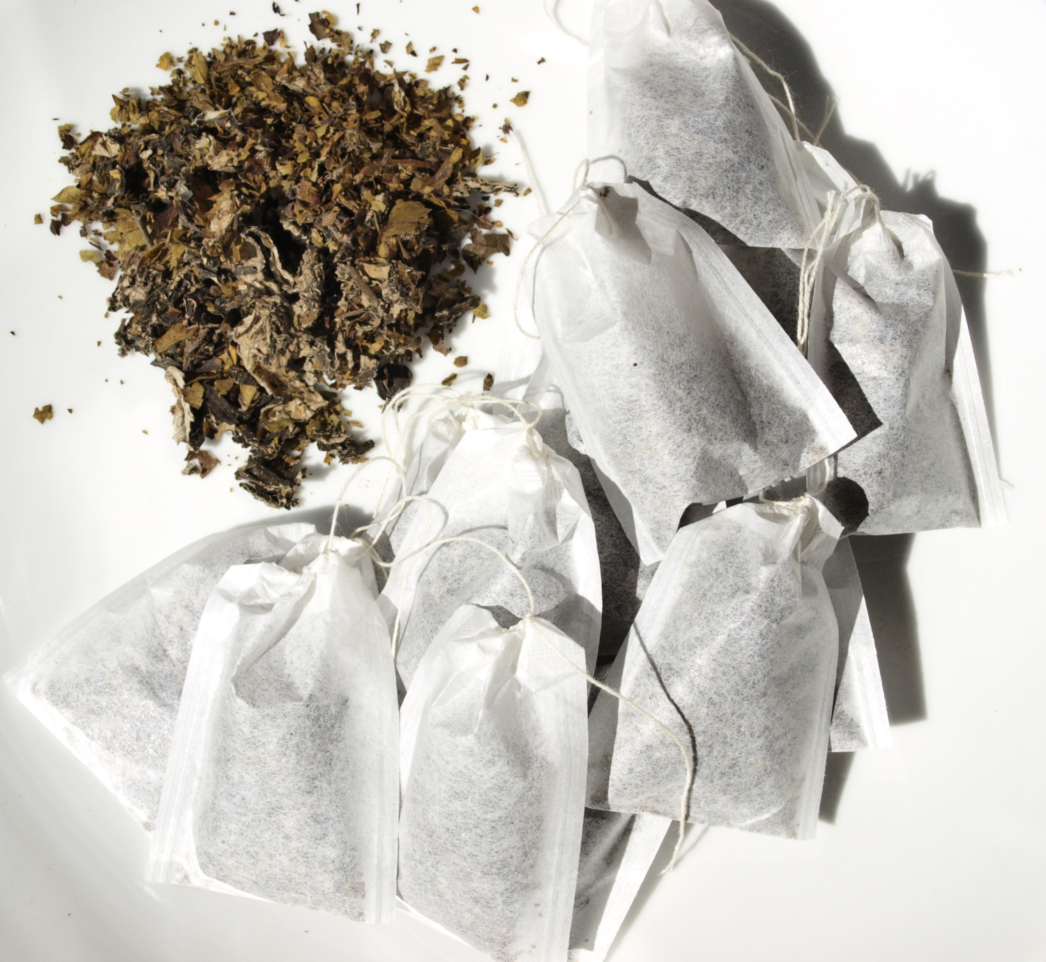 Raw Edible Plants Making black tea and coffee from plants
