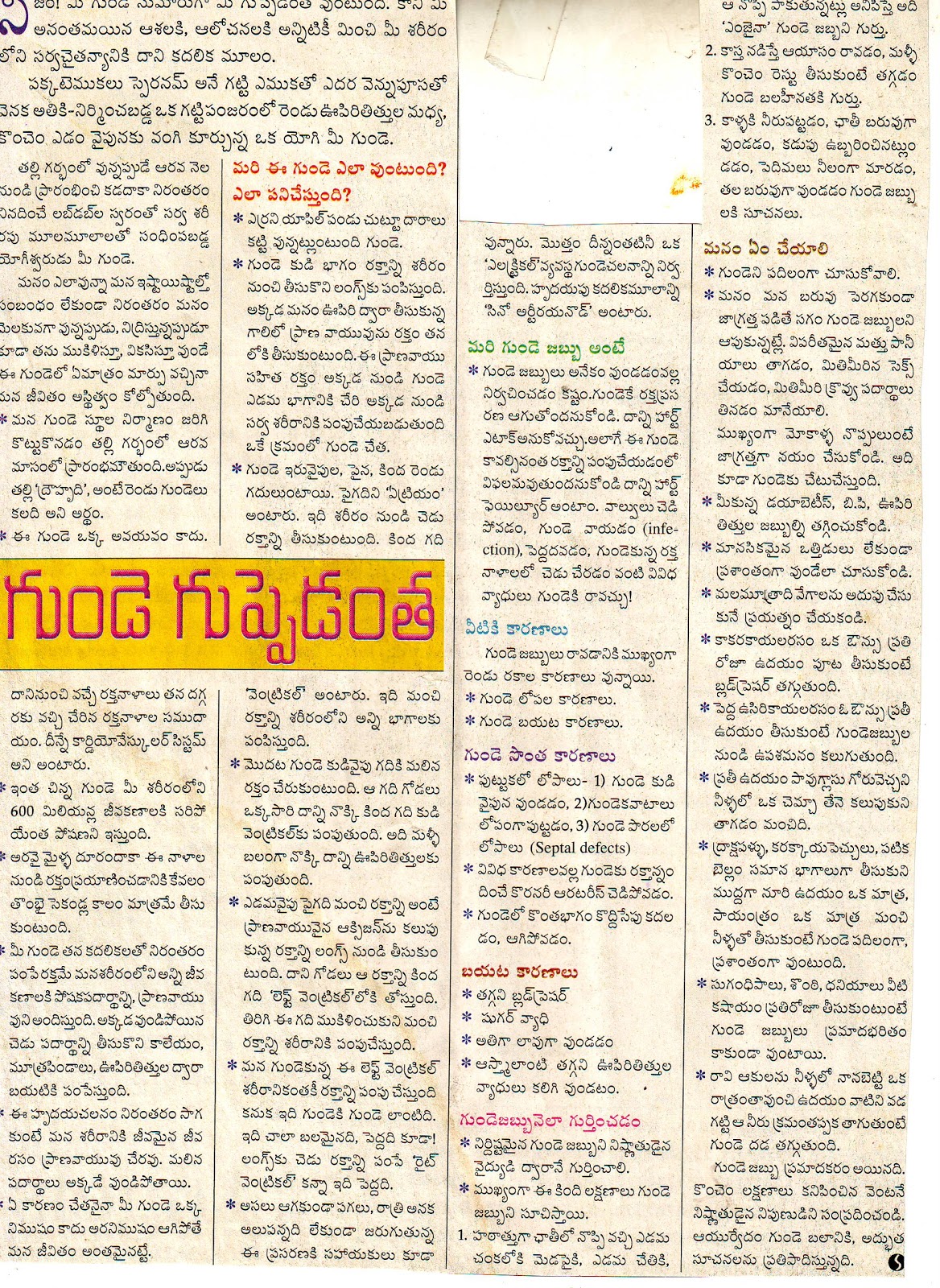 ayurvedam telugu Scribd india