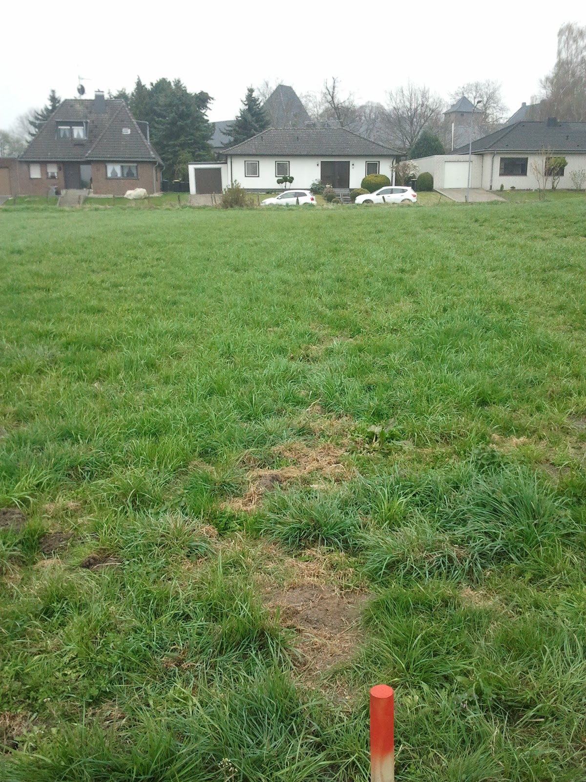 Stein auf Stein, das muss so sein - Unser Baublog: Das Grundstück ist