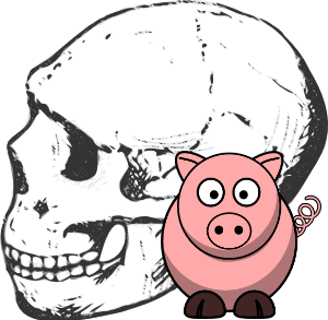 Looking back on the Darwinian hoedown involving evidence and dating of Skull KNM-ER 1470. Fundamentally flawed radiometric dating gives way to: pigs. Circular reasoning is prominent.