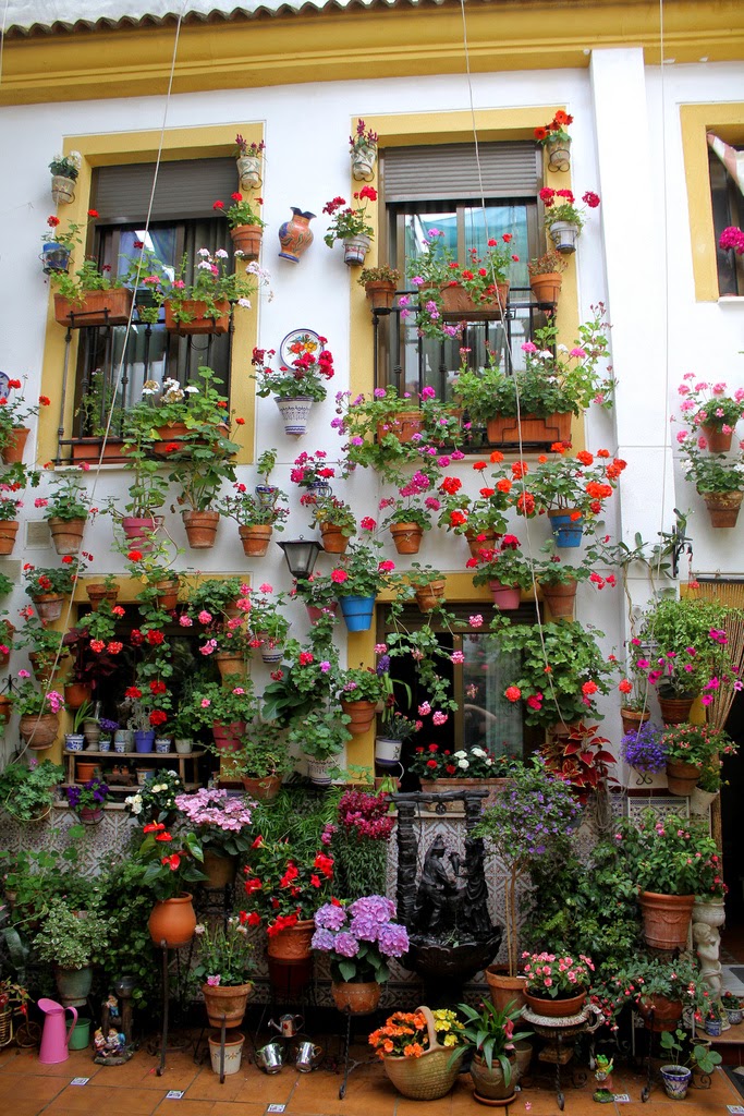 El aprendiz de jardinero: Macetas. Algo de historia. Macetas para