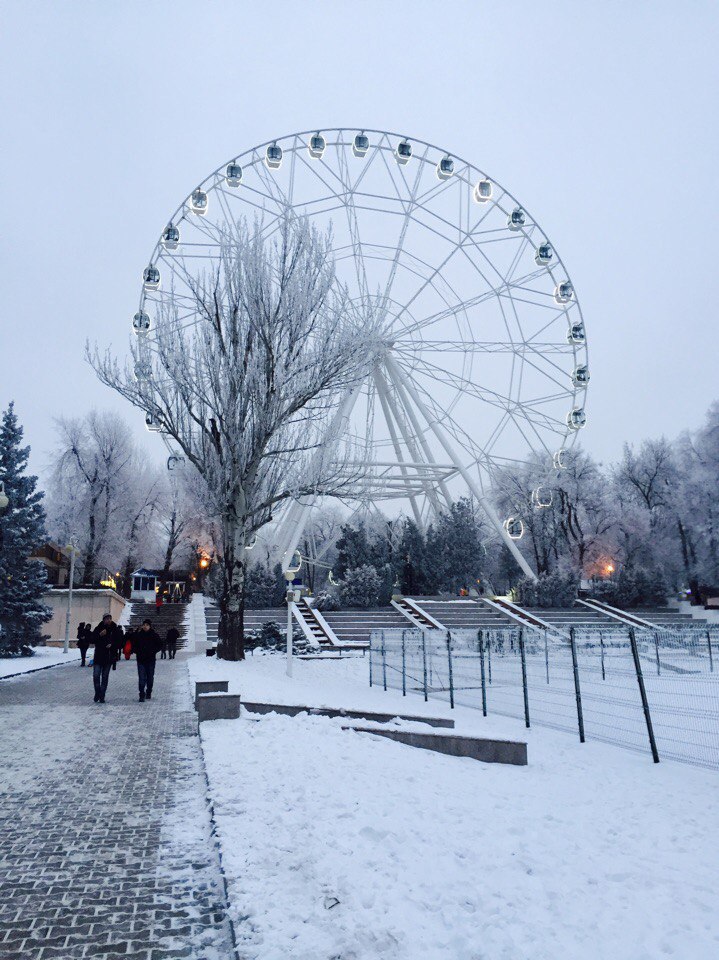 Все о октябрьском парке Все о октябрьском парке