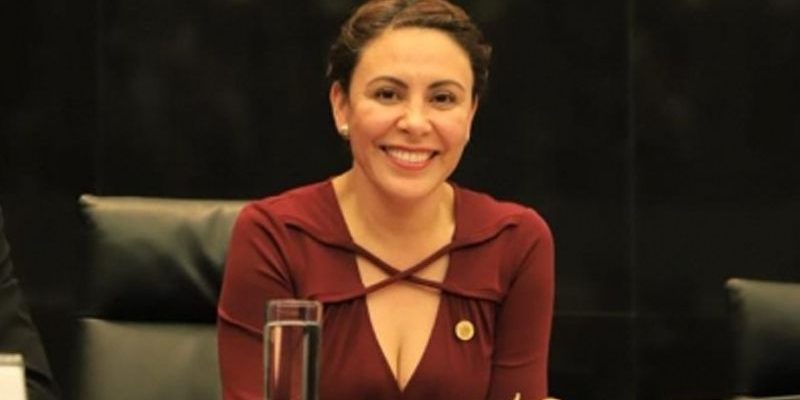 MORENA Rocío Barrera Badillo