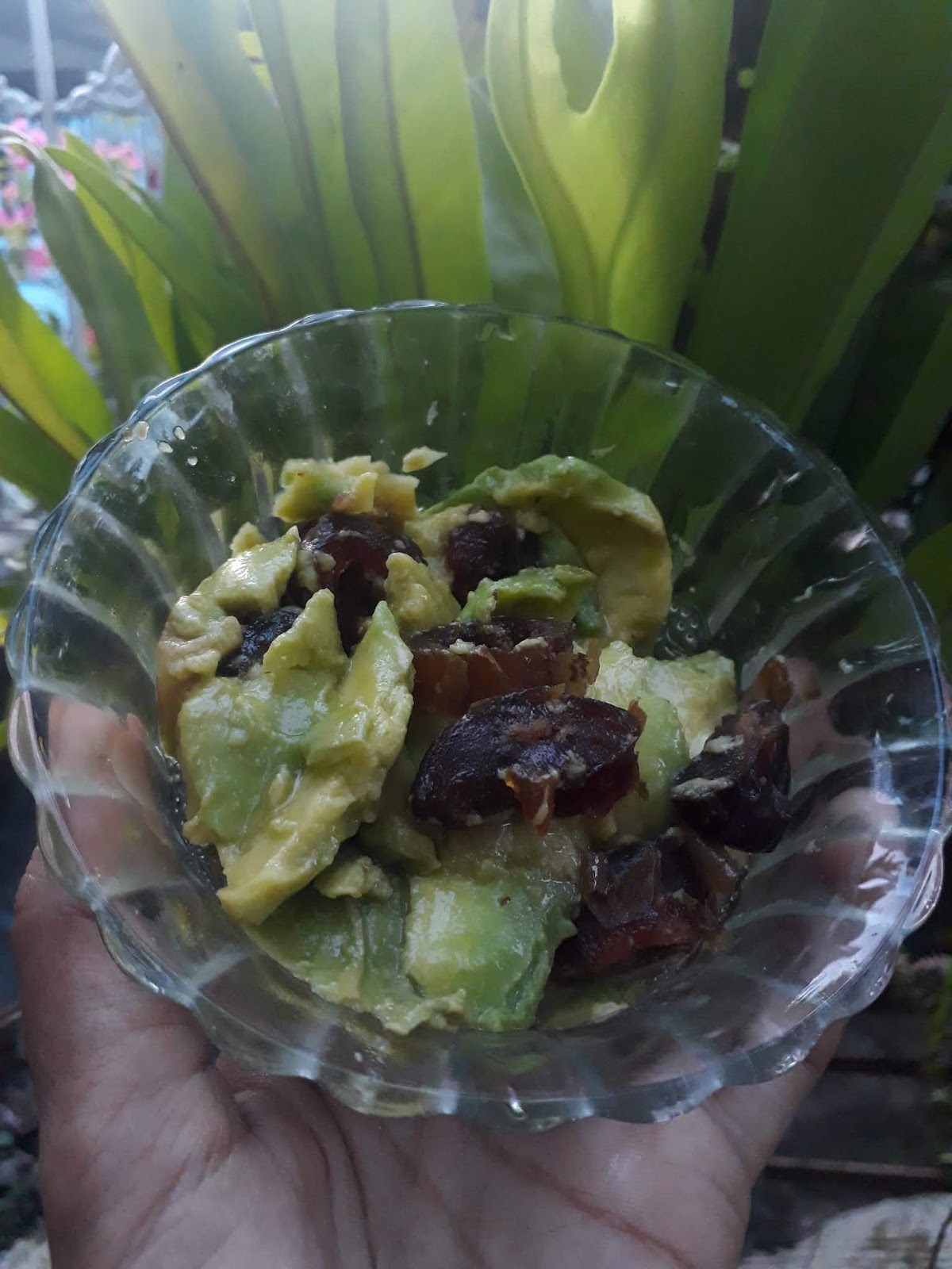Resep Tbc Jsr Zaidul Akbar Resep JSR ZAIDUL AKBAR Resep Tbc Jsr Zaidul Akbar Resep JSR ZAIDUL AKBAR