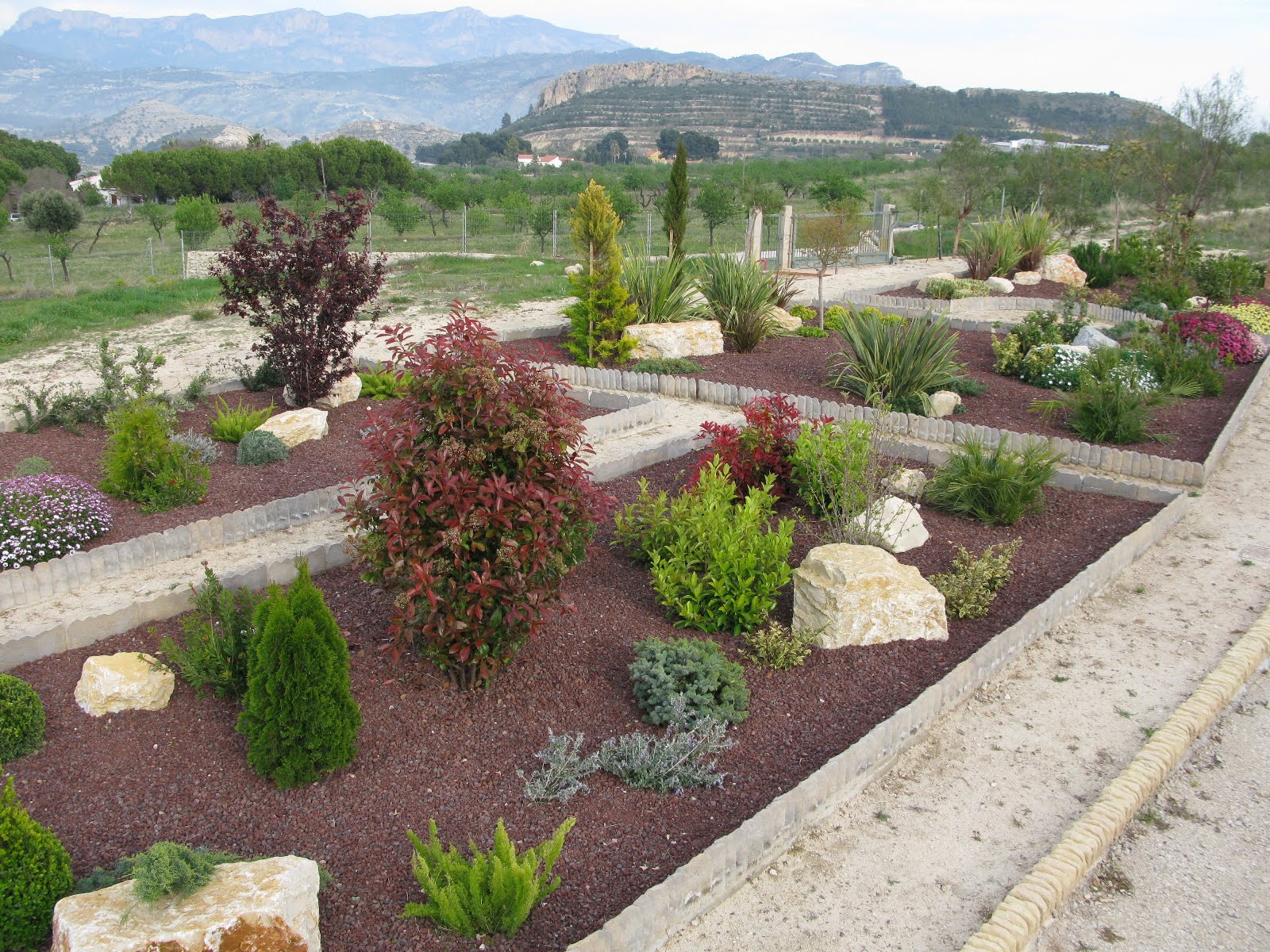 howtogarden Ideas for designing a Mediterranean garden