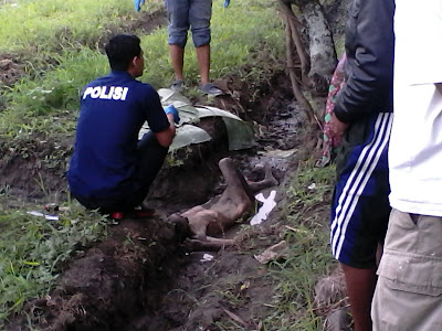 Heboh!! Ditemukan Mayat di Pinggir Sawah Tanpa Busana di Desa Kaliwadas