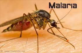 Peringatan Bahwa Virus Malaria Super Menyebar Ke Asia Tenggara