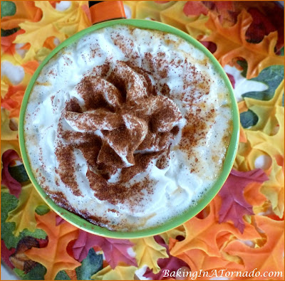Pumpkin Pie Hot Apple Cider: with or without alcohol, this hot drink is sure to warm you up on a cool Fall day. | Recipe developed by www.BakingInATornado.com | #recipe #drink 