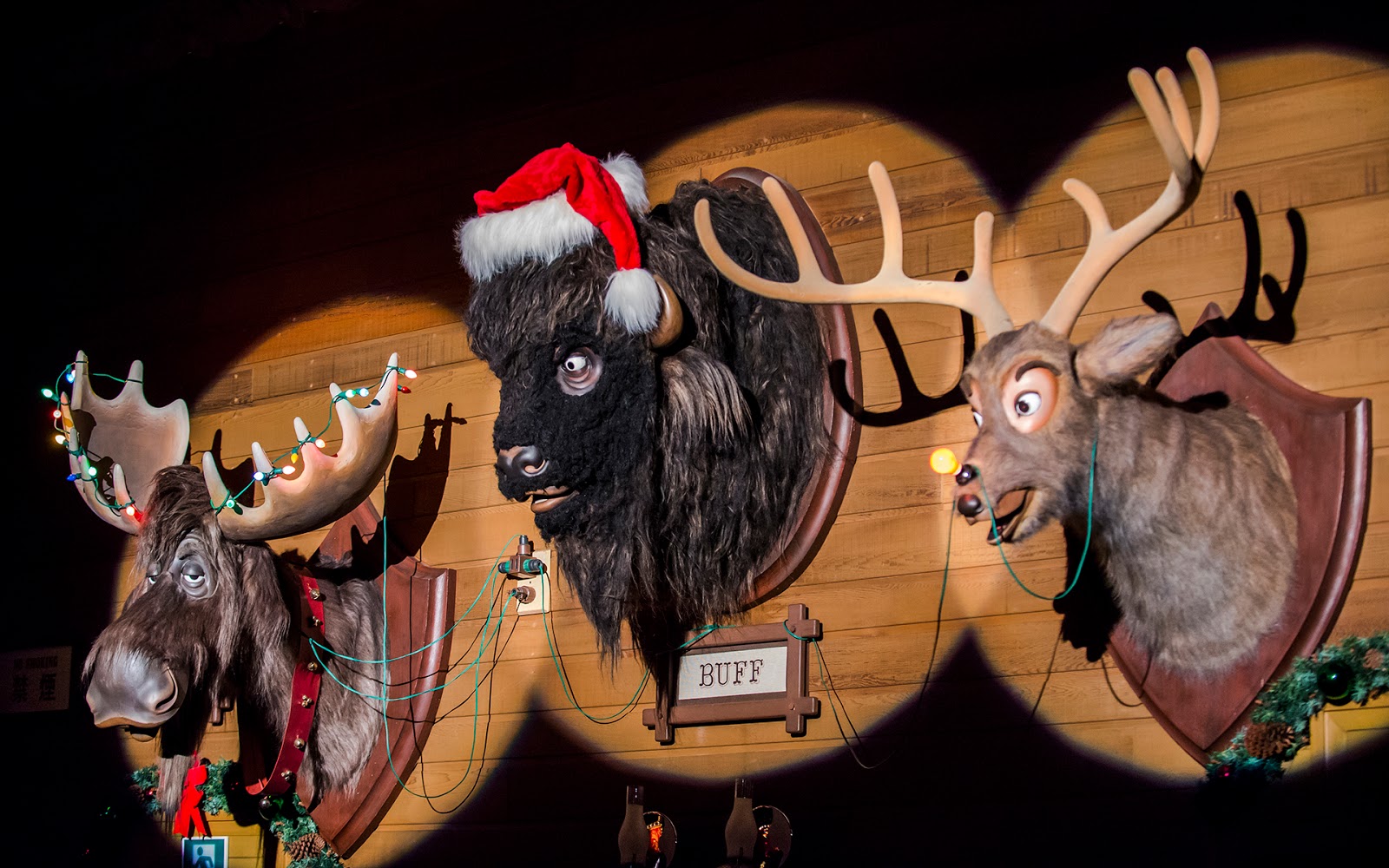 Inside the Christmas Jamboree