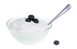 plain yogurt with fresh blueberries on top