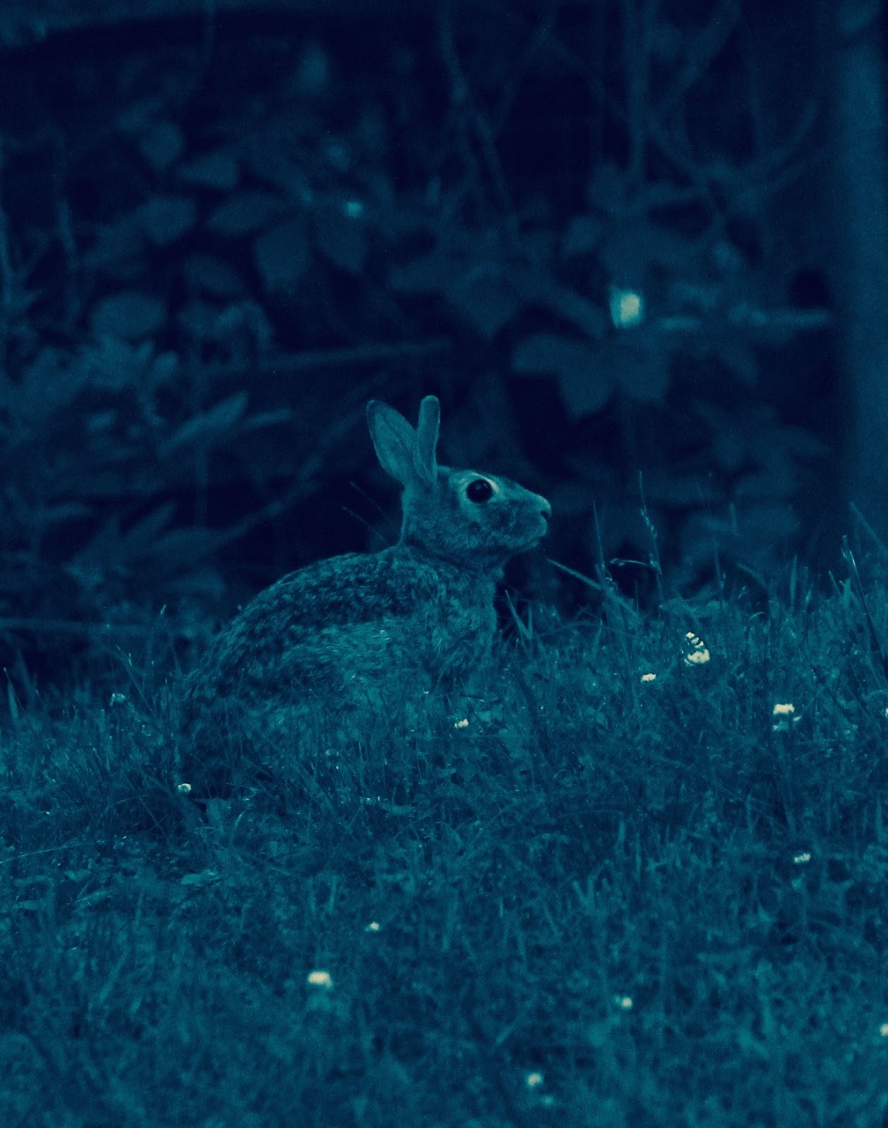 January 2023 July 2016