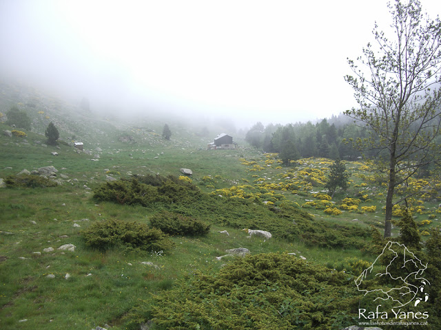 Ruta: Nuria-Gorgues de Carançà-Thues Ruta: Nuria-Gorgues de Carançà-Thues