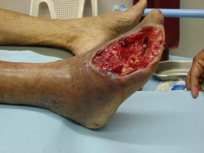 krokodil3-650x487.jpg