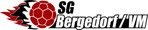 ASV Bergedorf 85 Stammverein der Handballer der ...