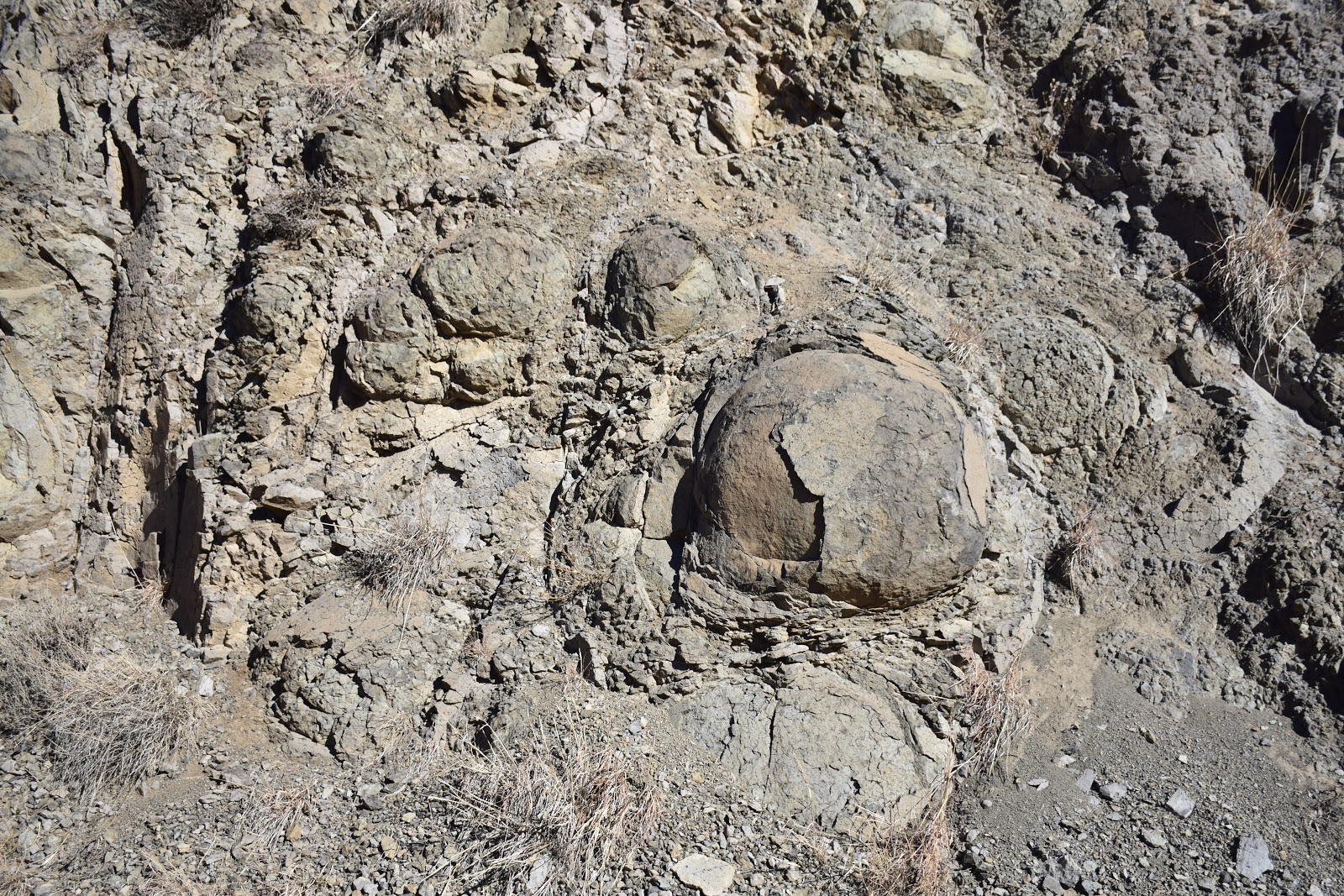 Mark Thomas Geology PILLOW LAVA