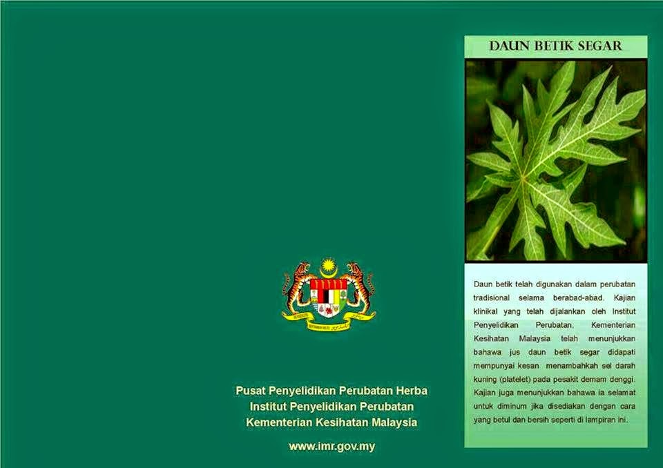 Catatan Dari Hati Rozafrina Abdul Rahman Cara Menyediakan Jus Daun Betik Untuk Merawat Denggi
