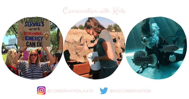 Conservation With Kate