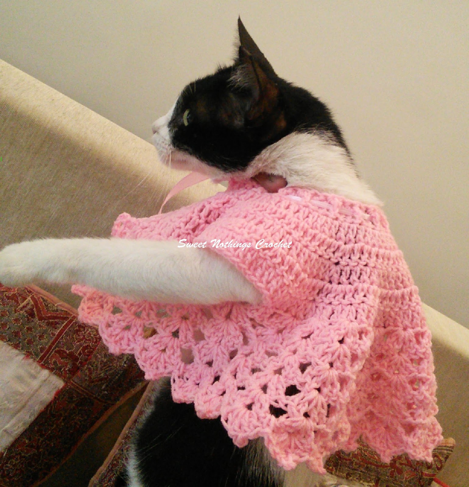 Sweet Nothings Crochet KITTY CAT JACKET