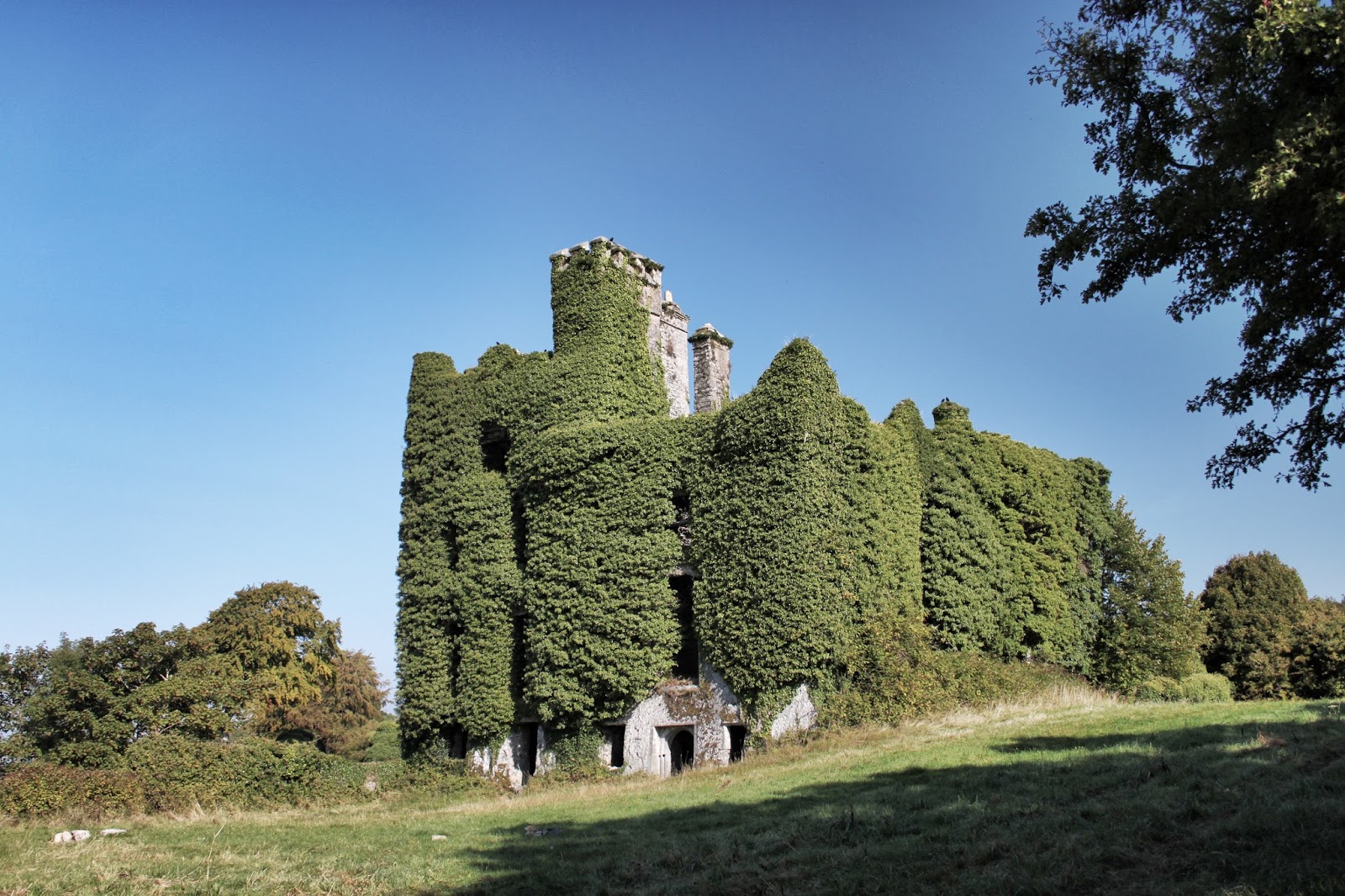 Historic Sites of Ireland Menlo Castle