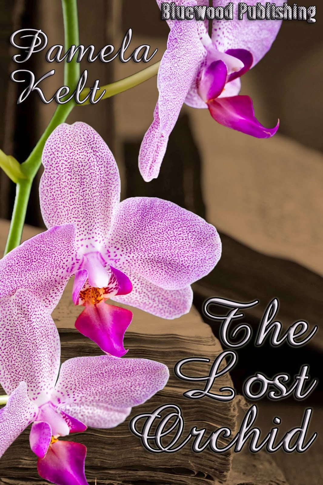 Orchidmania Rare 'lost orchid' discovered