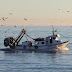 Πρέβεζα:30 περιστατικά παράνομης αλιείας μόνο για το πρώτο τρίμηνο του   2019