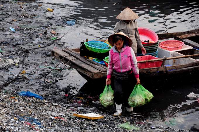 Top 10 Chợ Vựa hải sản Quảng Ninh tươi sống giá rẻ đáng để mua