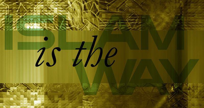 Download Islamic Manners of Life  ( Urdu ) 