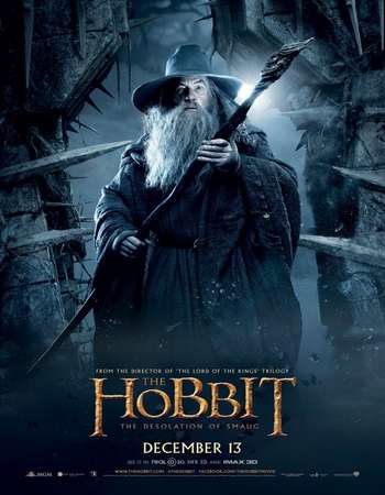 The Hobbit The Desolation of Smaug 2013 Extended Hindi Dual Audio Full Movie Free Download