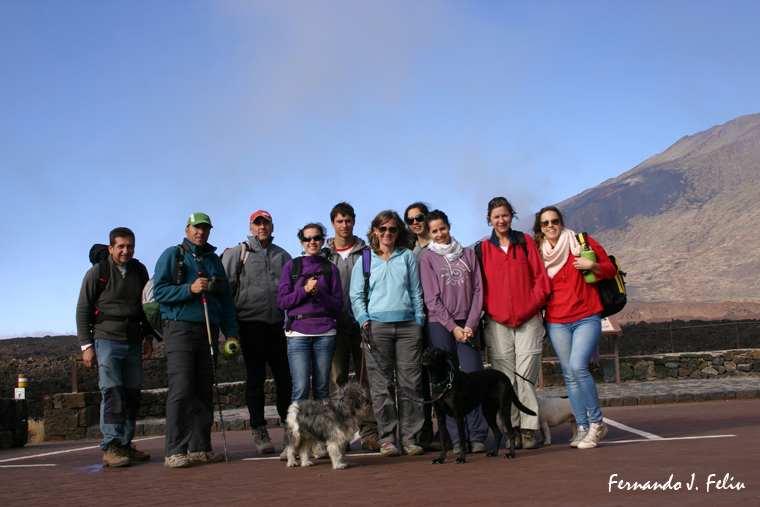 NATURALEZA Y MEDIO RURAL: VUELTA A LA MONTAÑA DEL CEDRO. Tenerife.